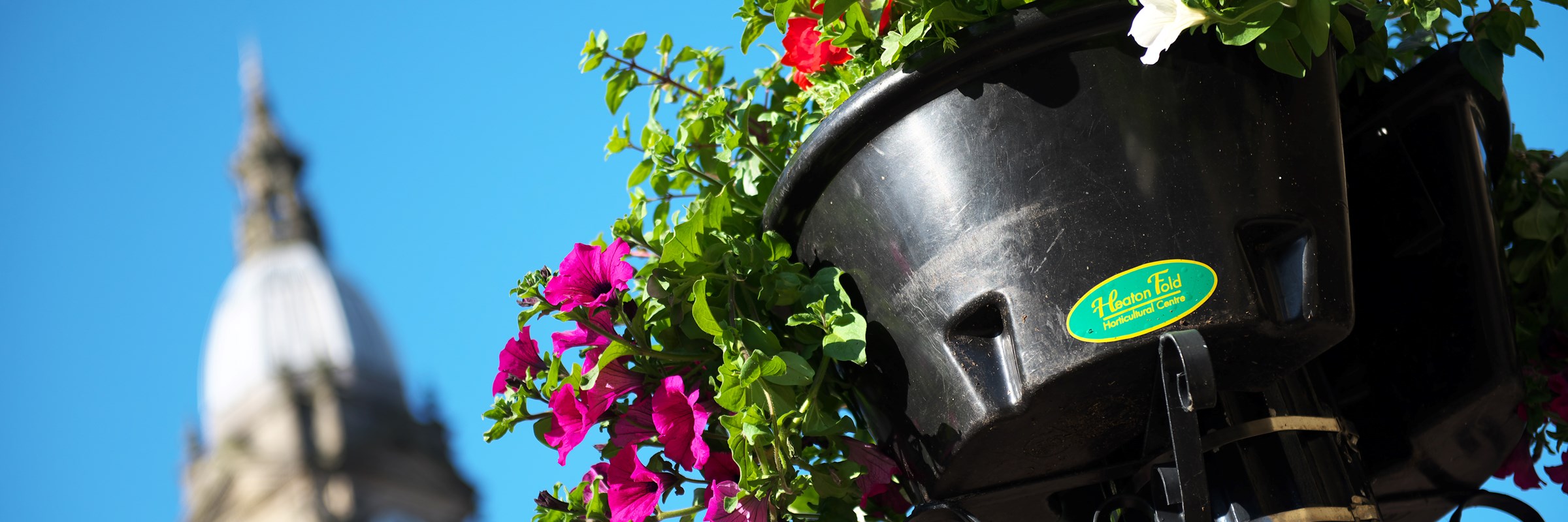 A lamp post with a pot of flowers in the foreground. In the background is a clock tower.