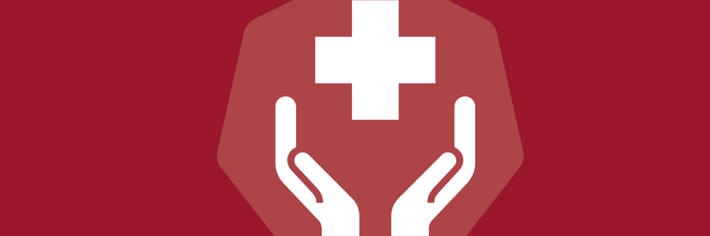 Icon of health plus sign and hands holding it