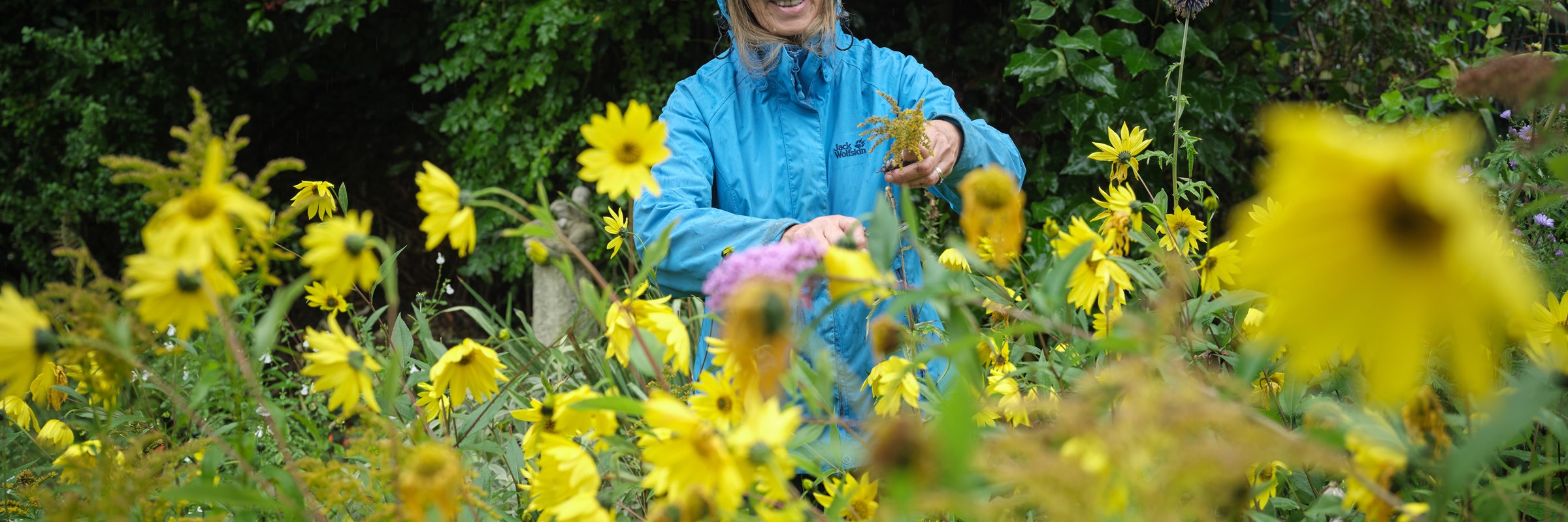 A person in a garden wearing a blue jacket.