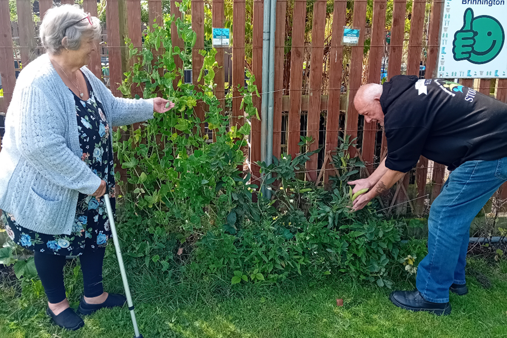 Two people next to a flower bed.