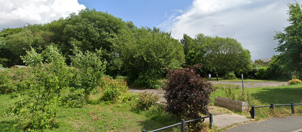 A park on a sunny day.